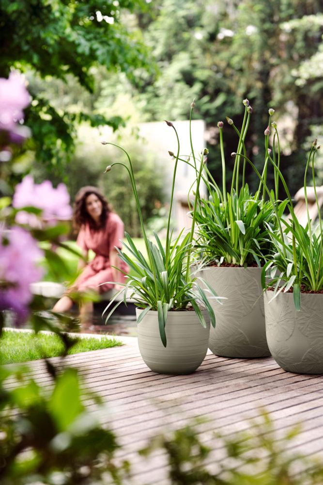 Fuente Lily Round 47