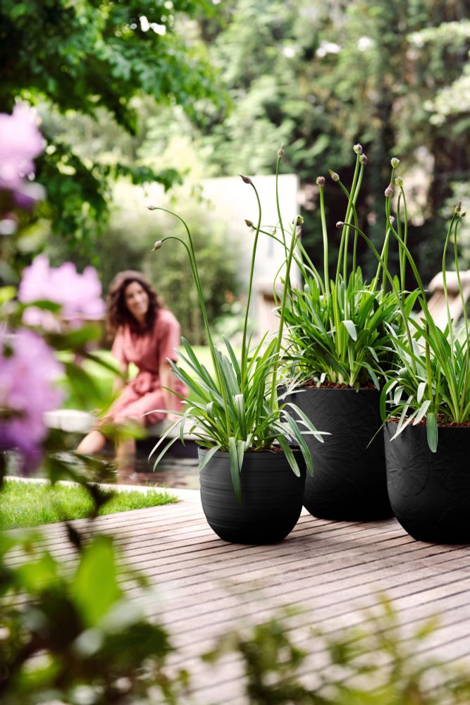 Fuente Lily Round 47