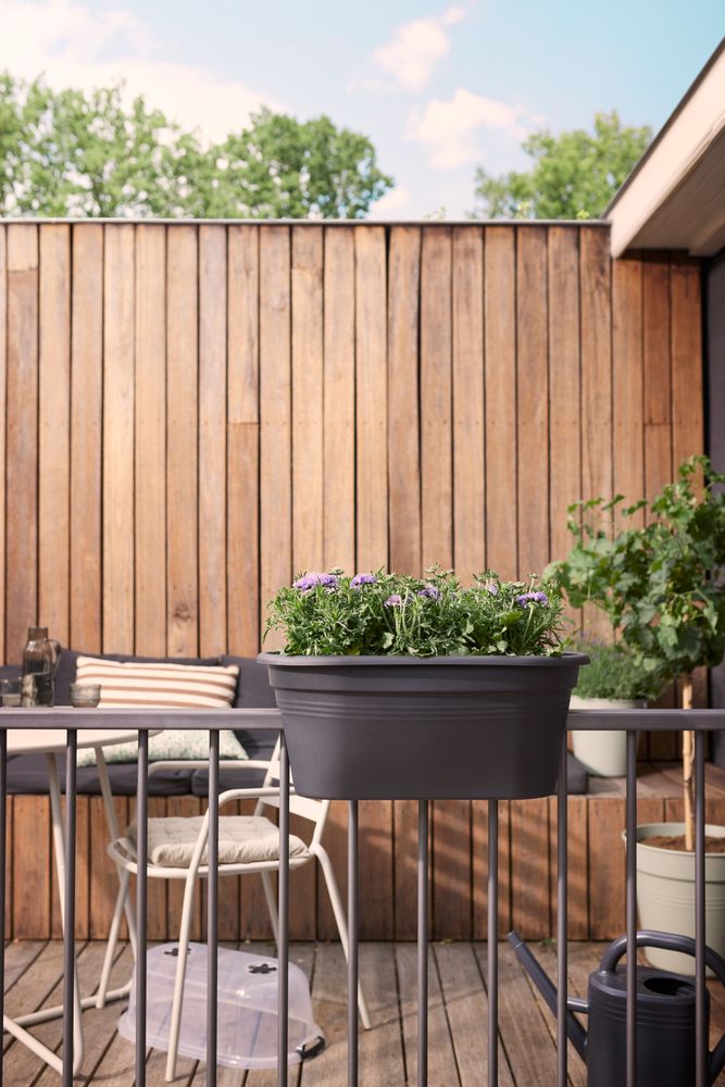 Green Basics Balcony Grow Set 55