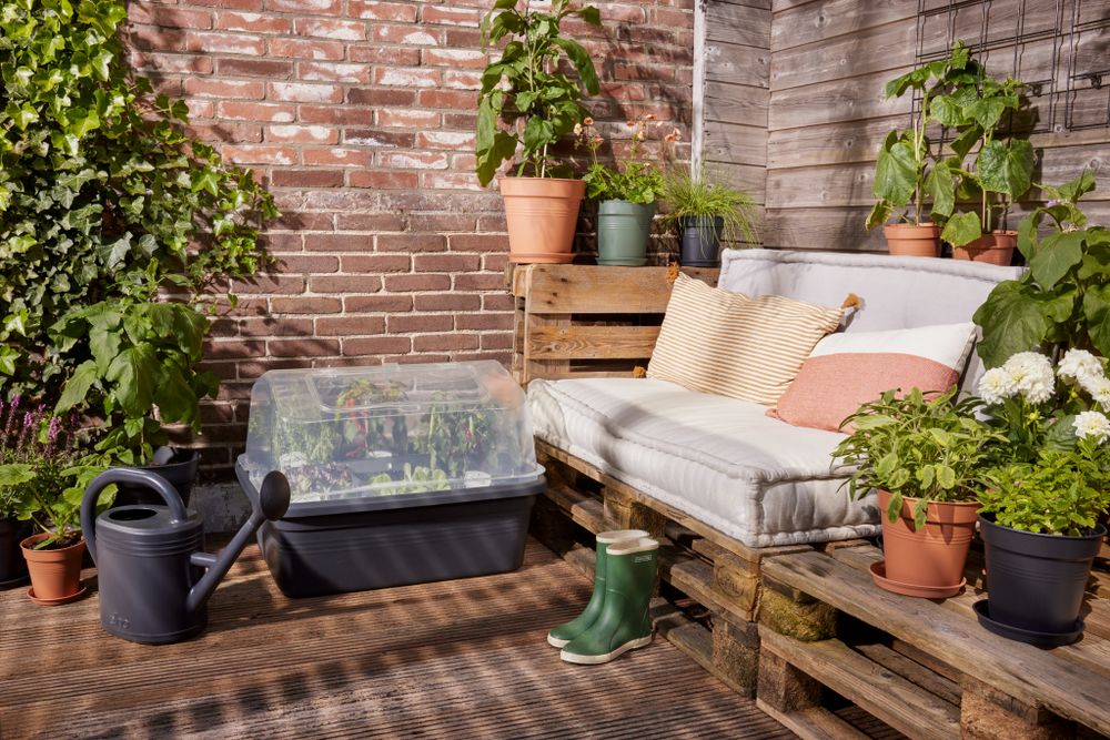 Green Basics Grow Garden House L