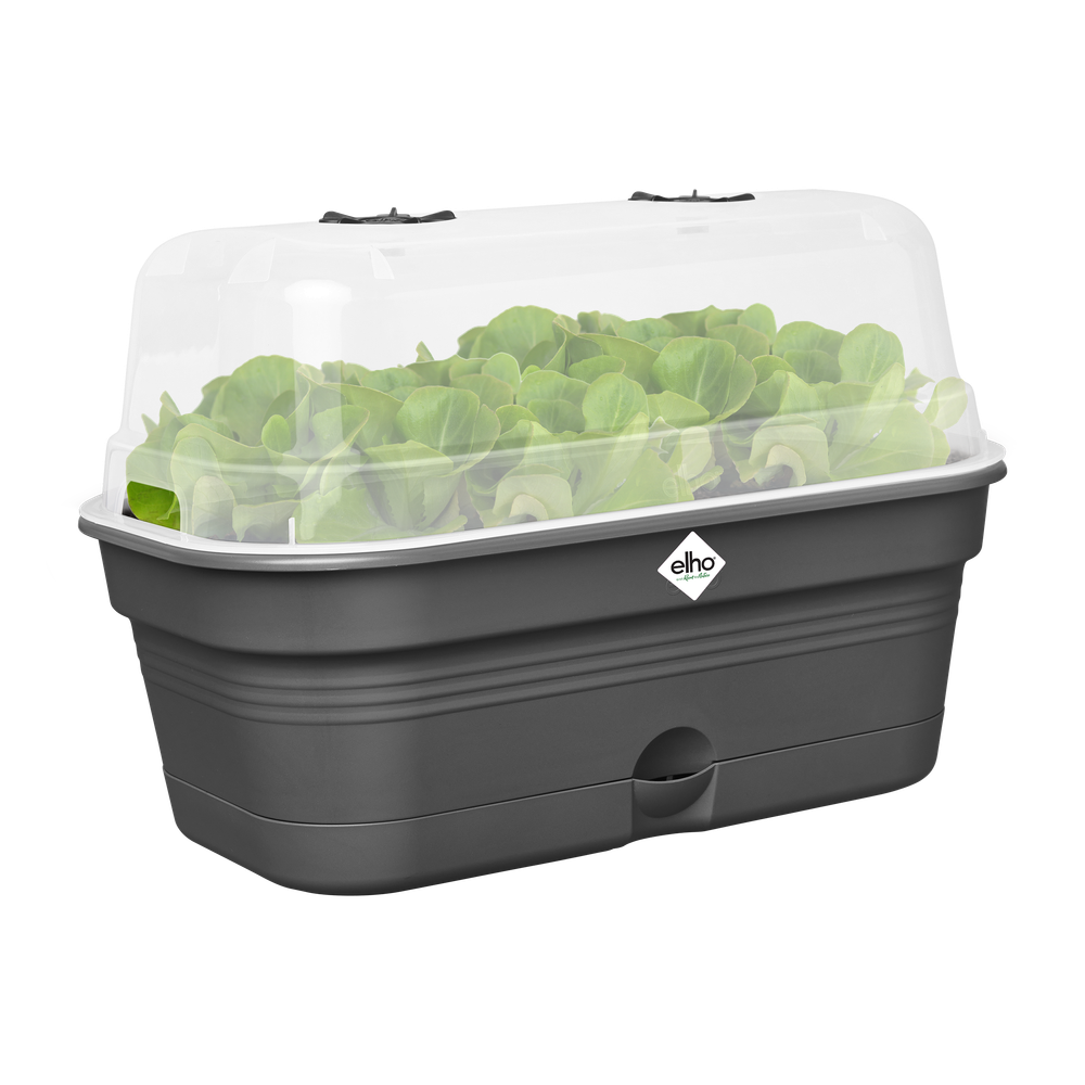 Green Basics Grow Tray Allin1 L