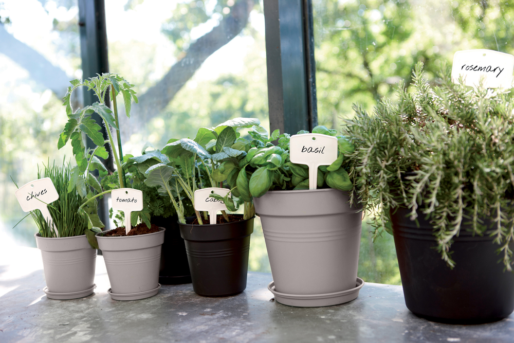 Green Basics Growpot 11