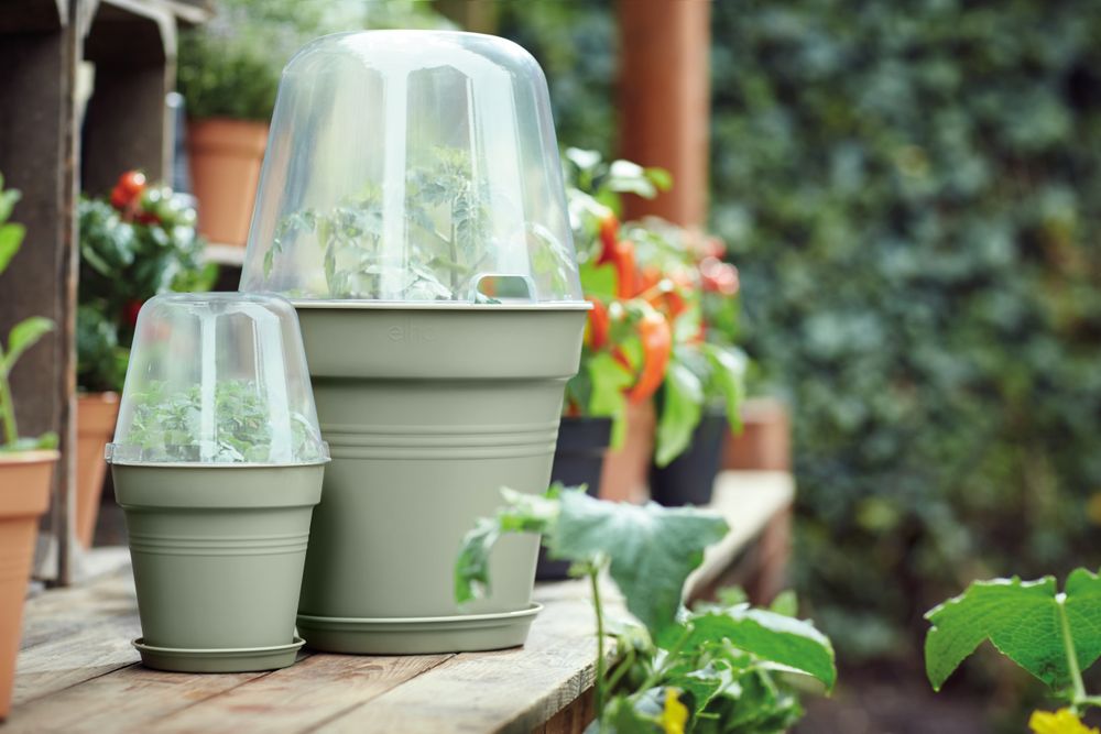 Green Basics Growpot 19