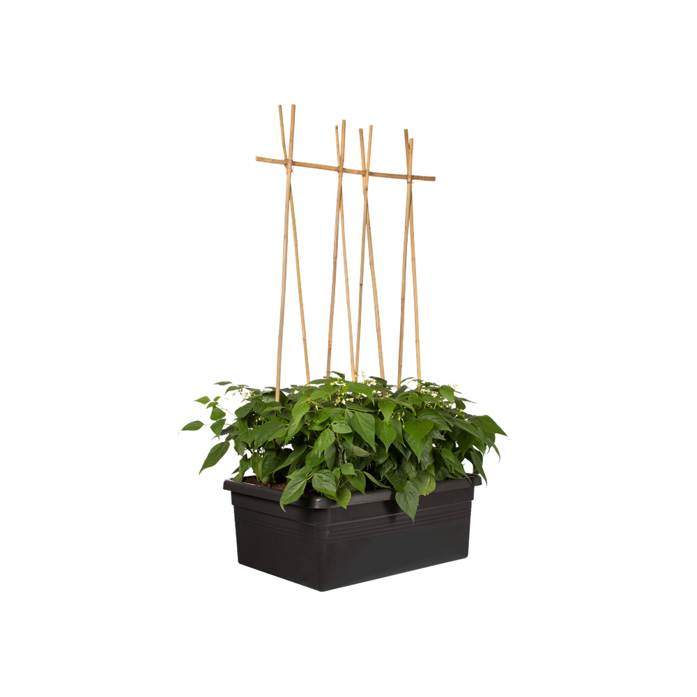 Green Basics Movable Garden