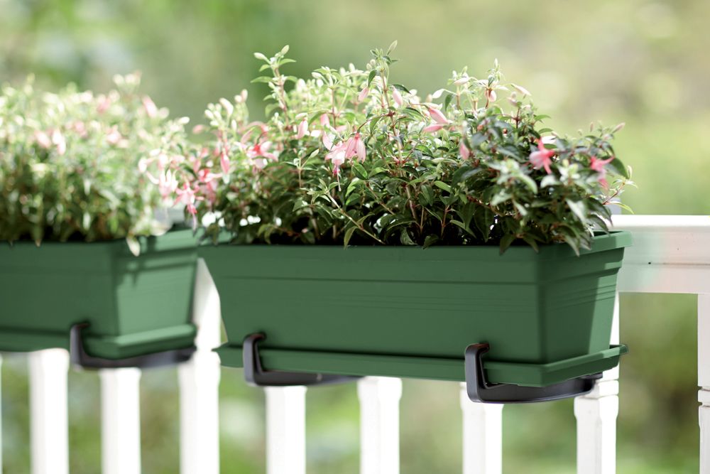 Green Basics Trough 50