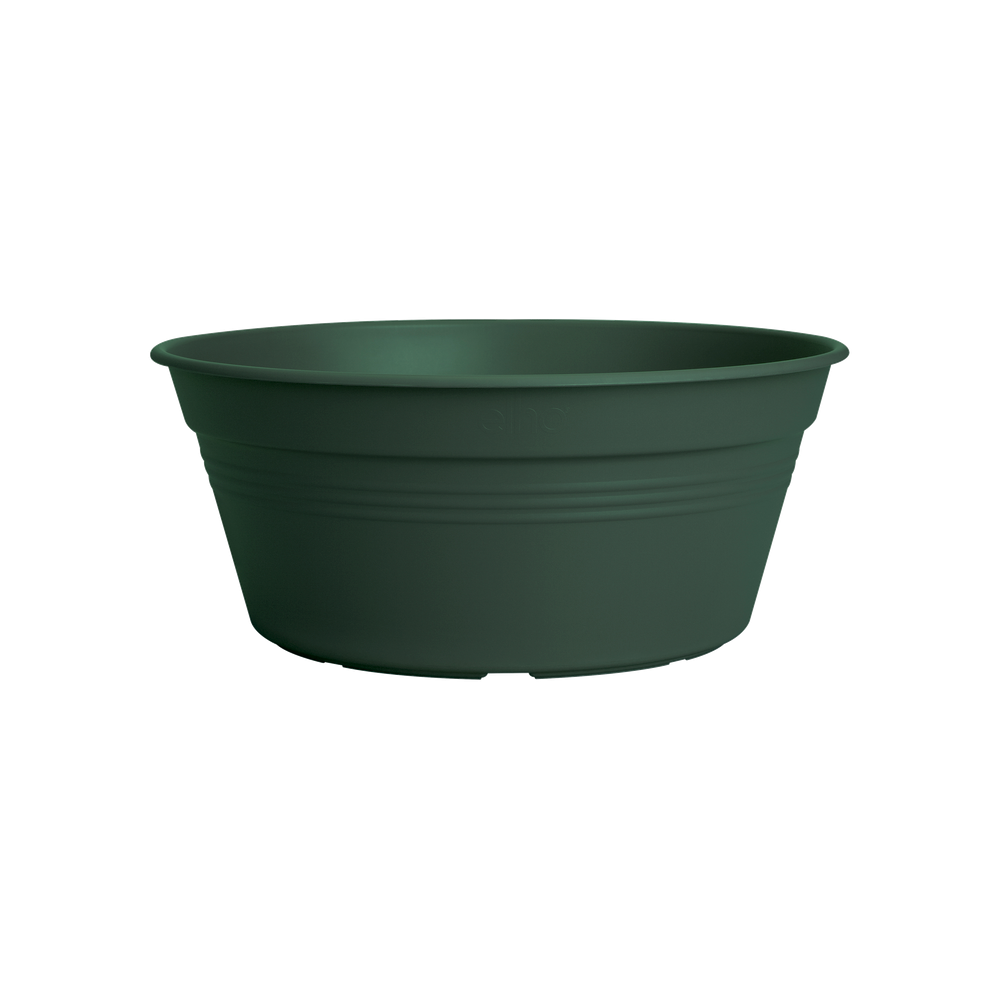 Green Basics Bowl 27
