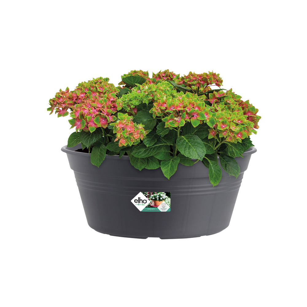 Green Basics Bowl 33