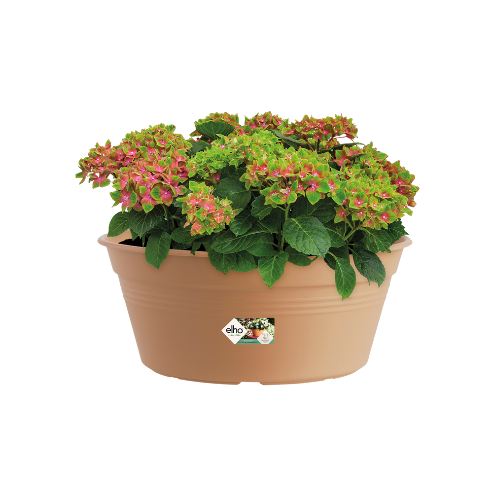 Green Basics Bowl 33
