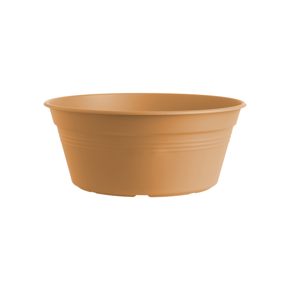 Green Basics Bowl 27
