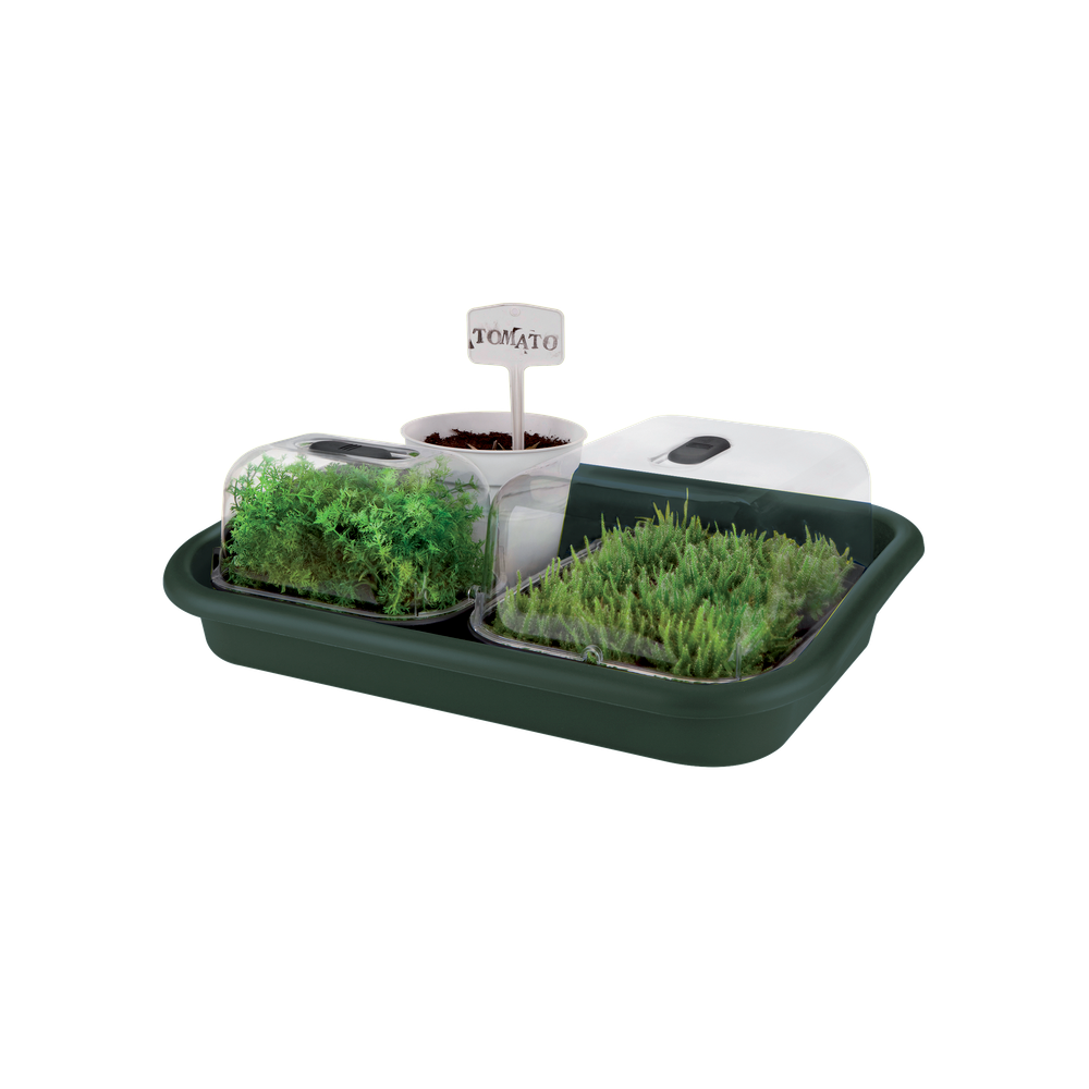 Green Basics Garden Tray 59
