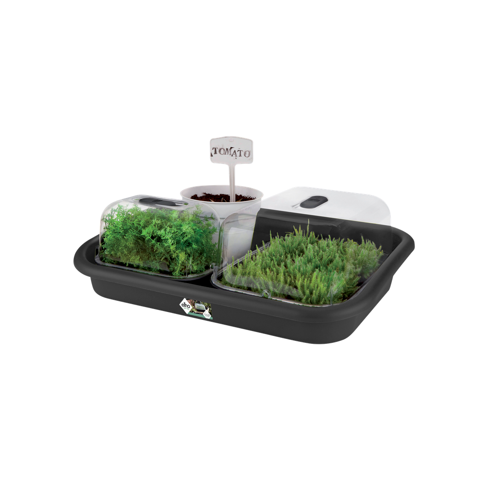 Green Basics Garden Tray 59