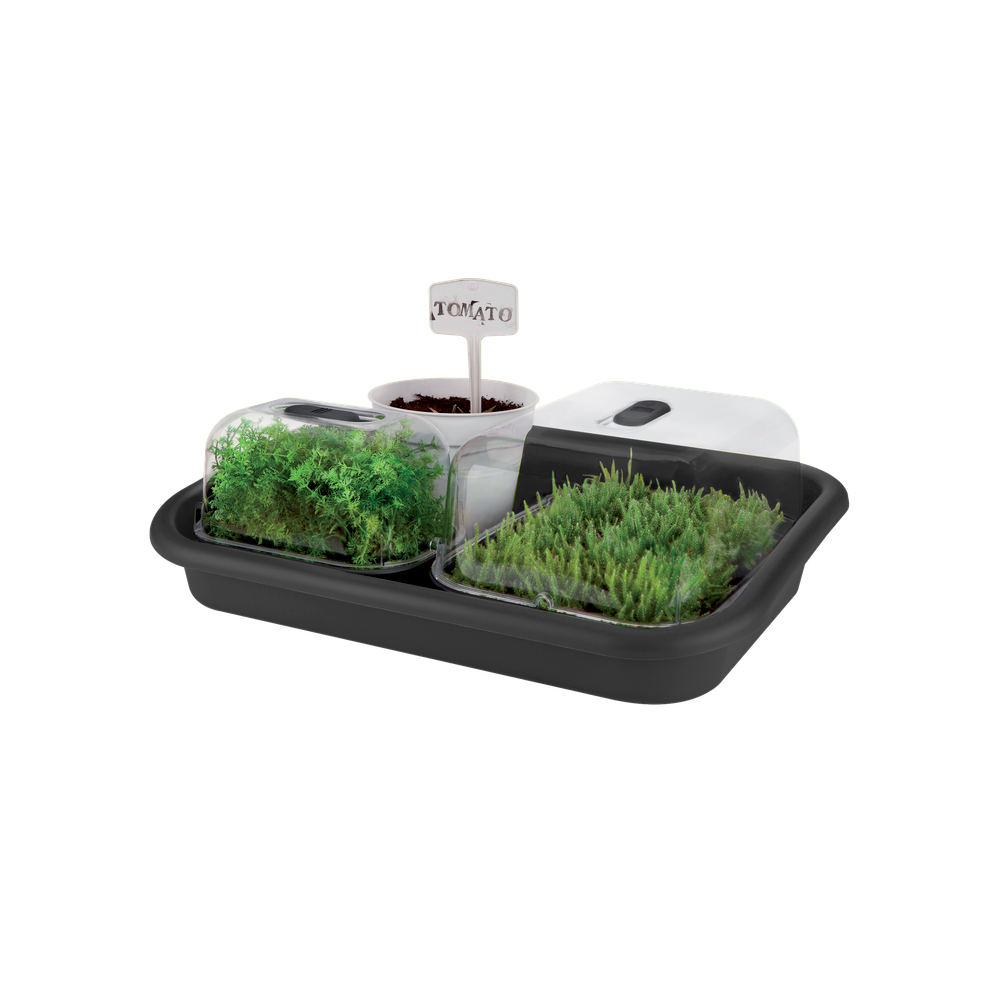Green Basics Garden Tray 59