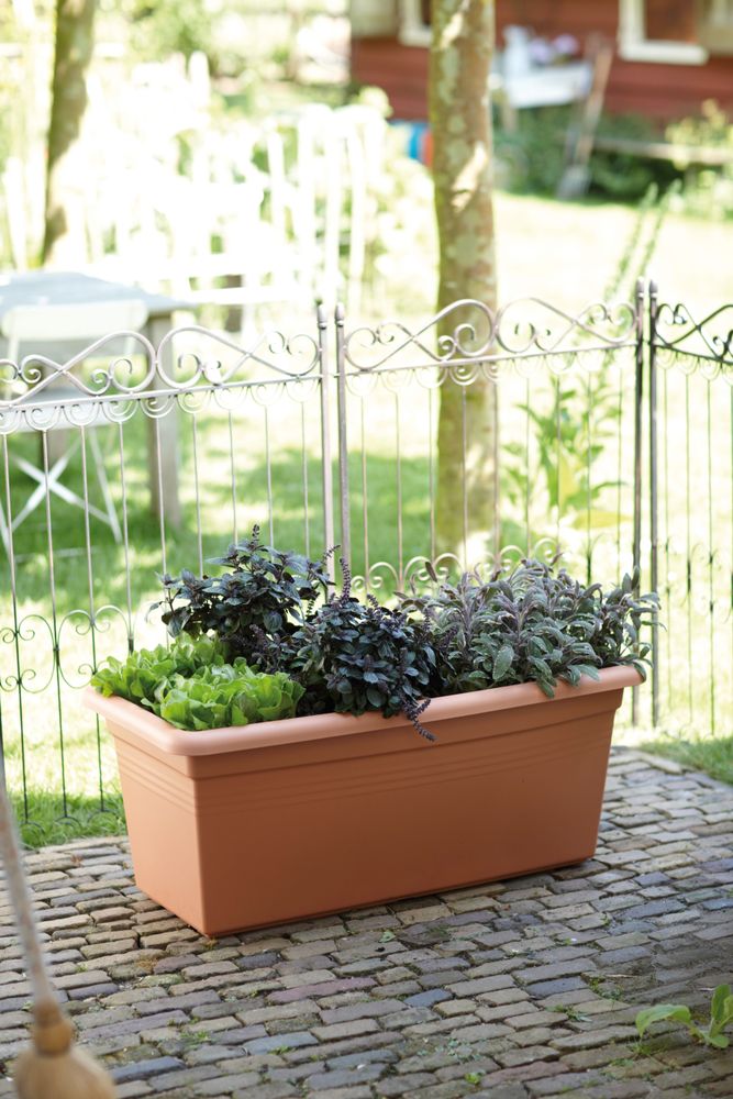 Green Basics Garden Xxl 100