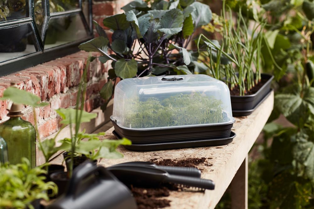 Green Basics Grow Kit Allin1 40