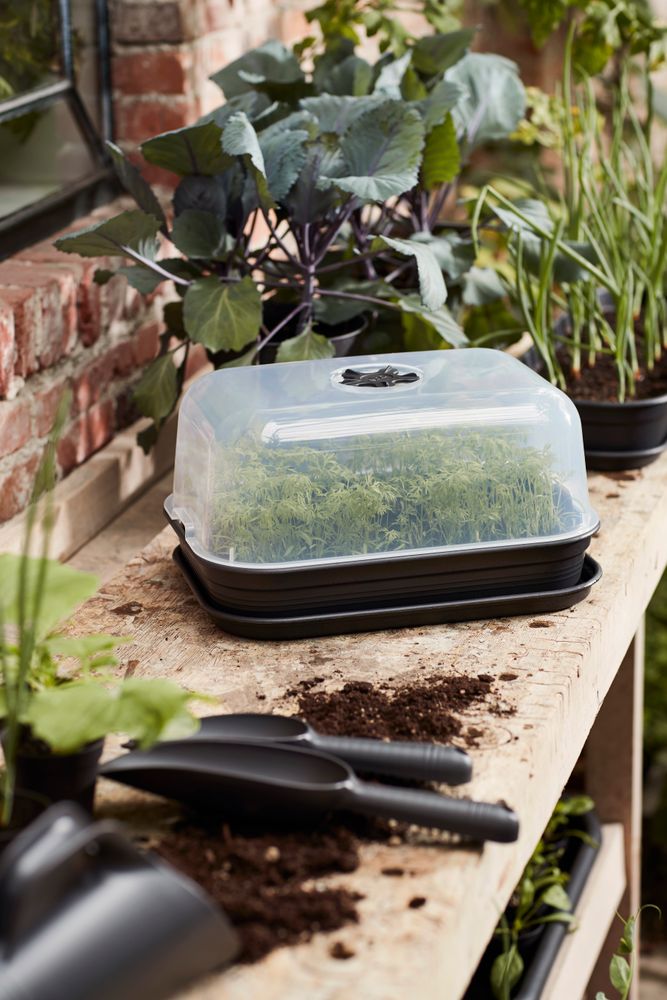 Green Basics Grow Kit Allin1 40