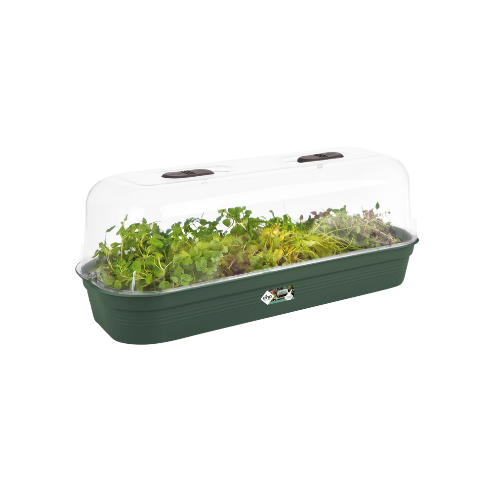 Green Basics Grow Tray L