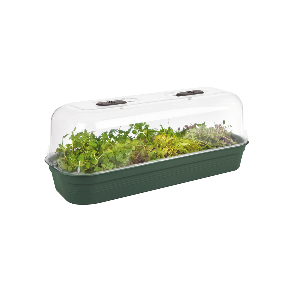 Green Basics Grow Tray L