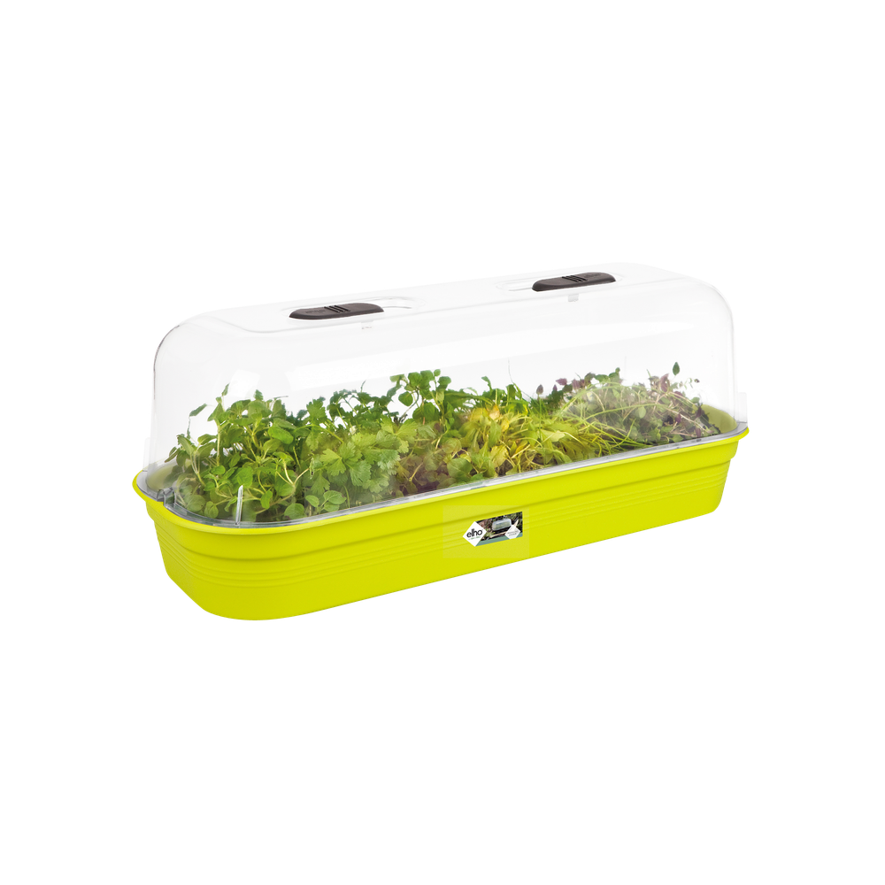 Green Basics Grow Tray L