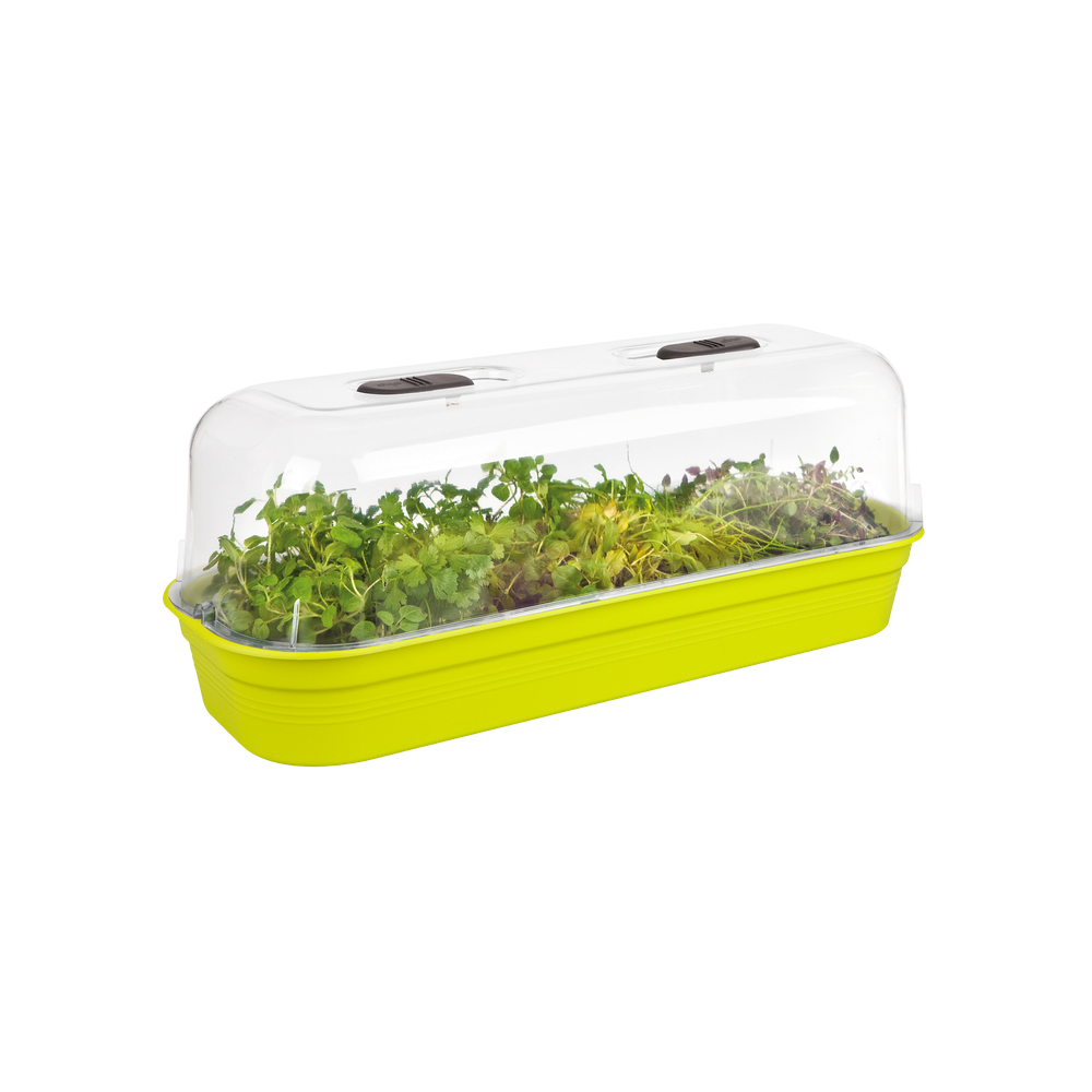Green Basics Grow Tray L