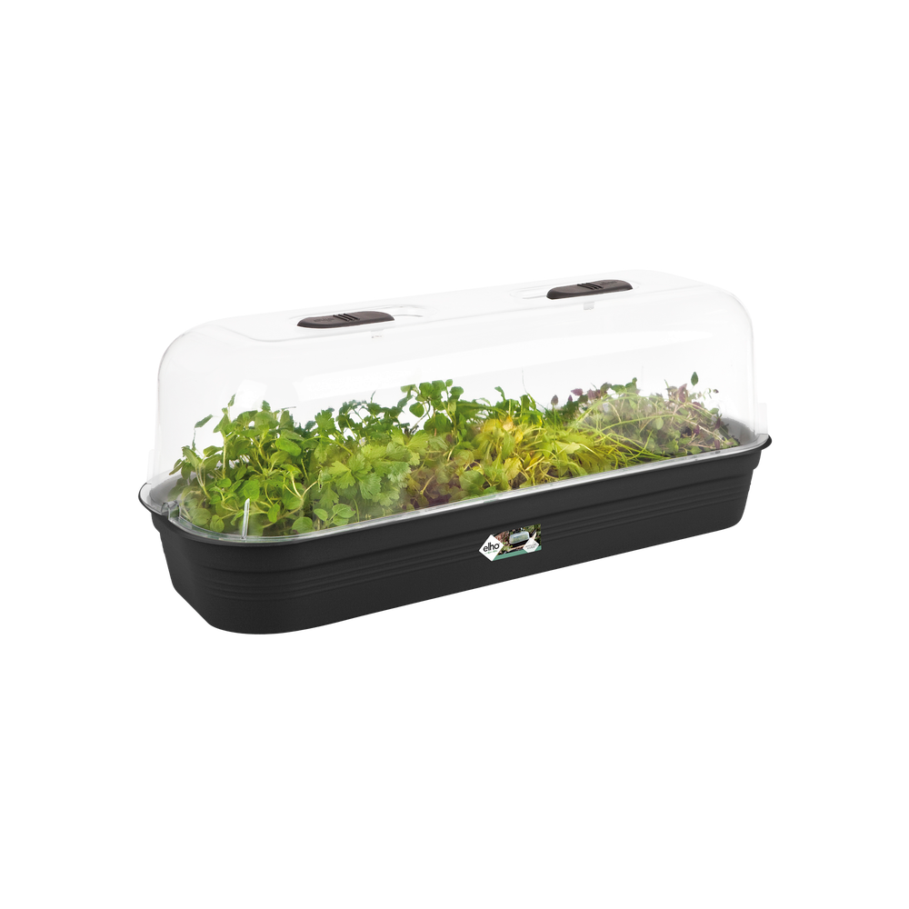Green Basics Grow Tray L