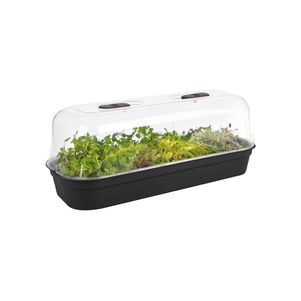 Green Basics Grow Tray L