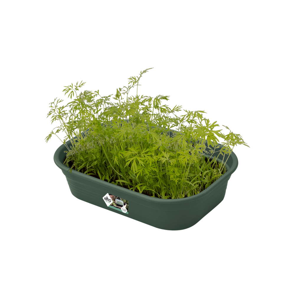 Green Basics Grow Tray S