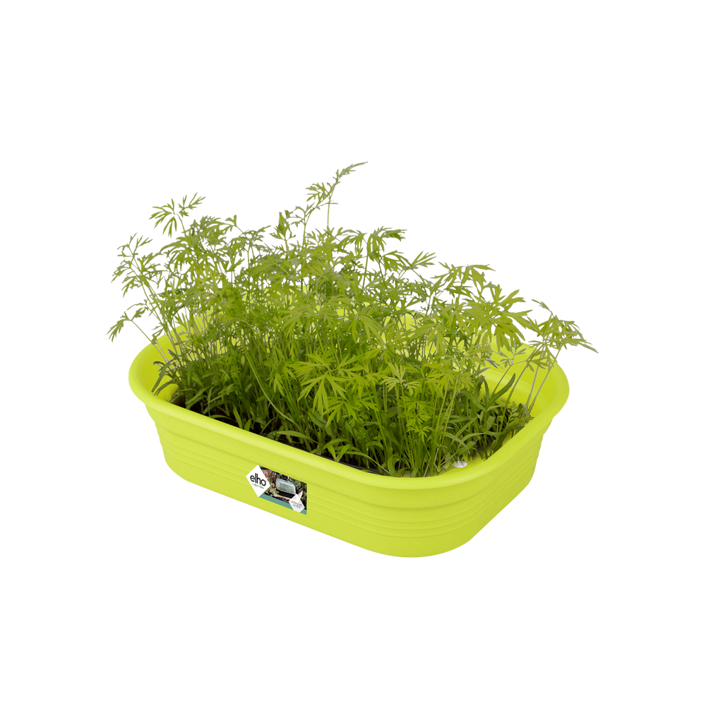 Green Basics Grow Tray S