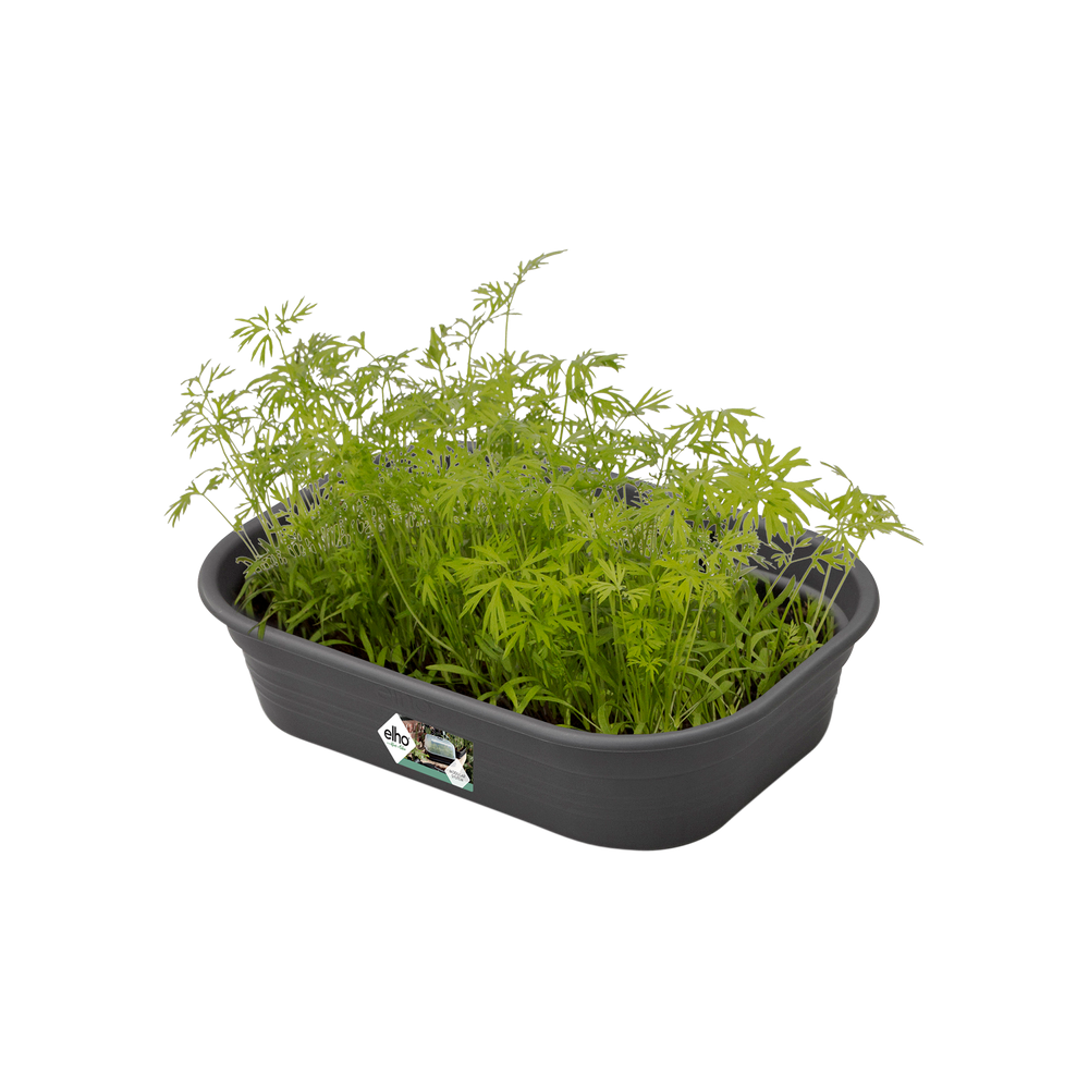 Green Basics Grow Tray S