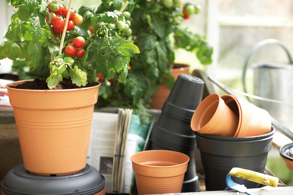 Green Basics Growpot 19