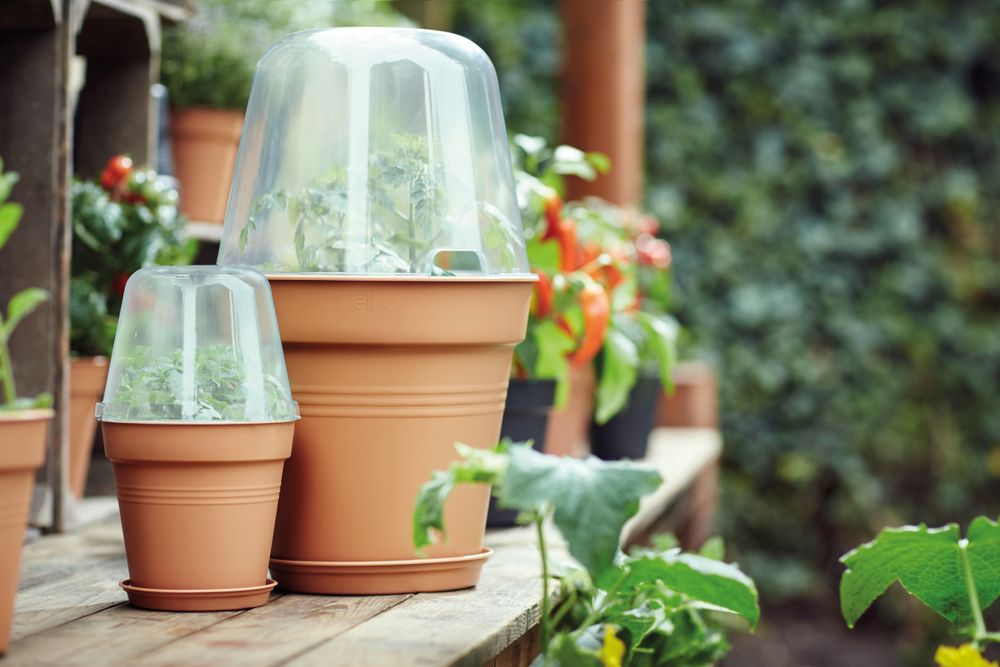 Green Basics Growpot 17
