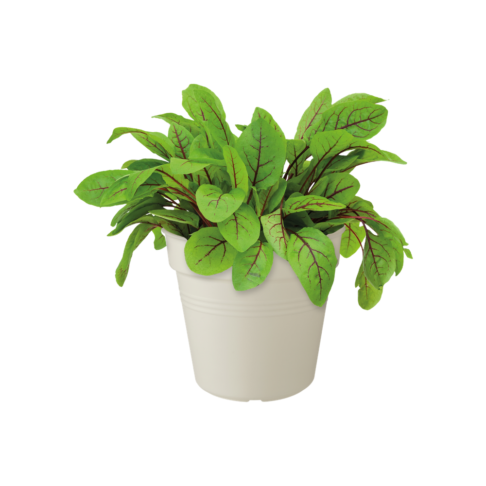Green Basics Growpot 15