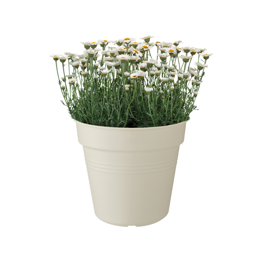 Green Basics Growpot 30