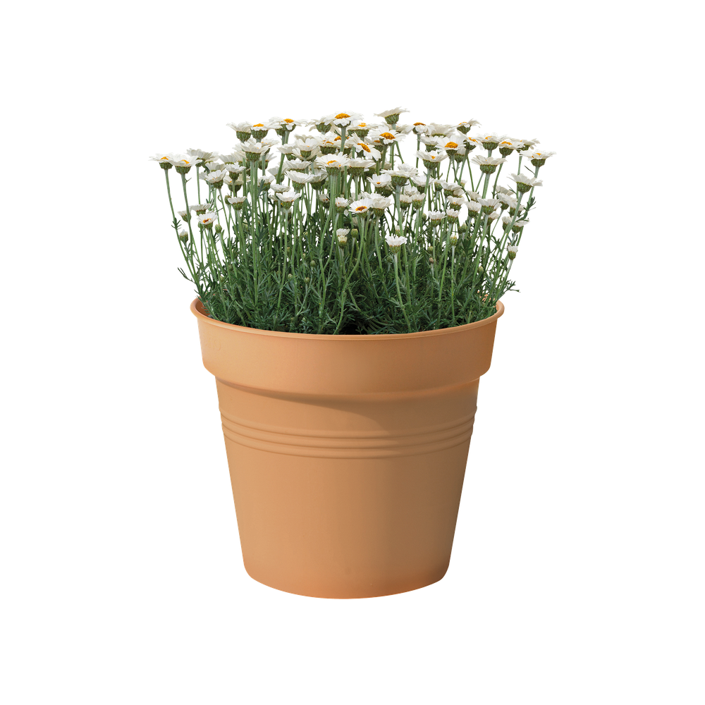 Green Basics Growpot 30
