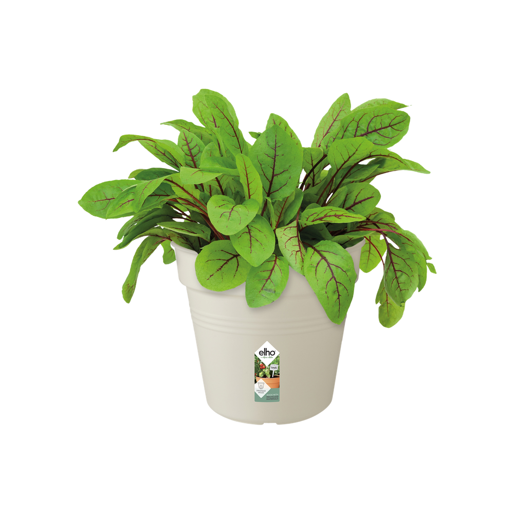 Green Basics Growpot 15