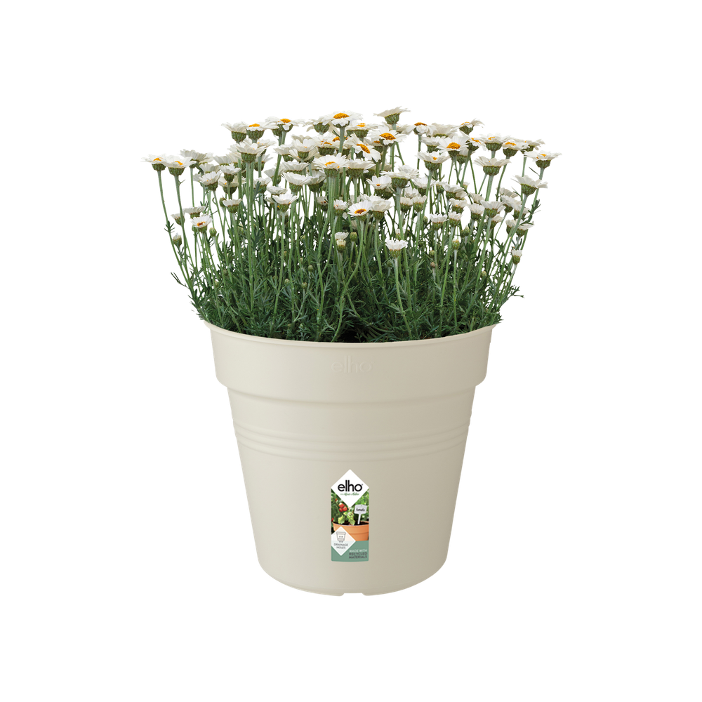 Green Basics Growpot 30