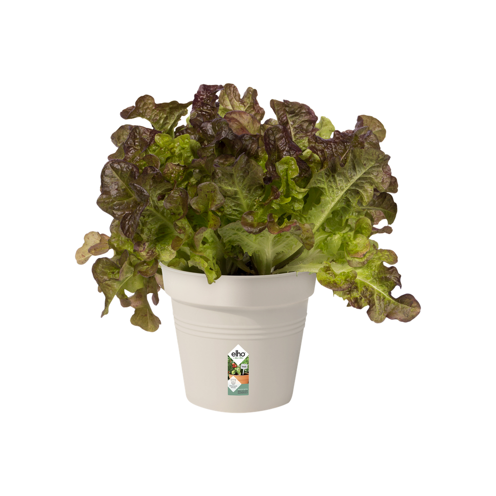 Green Basics Growpot 11