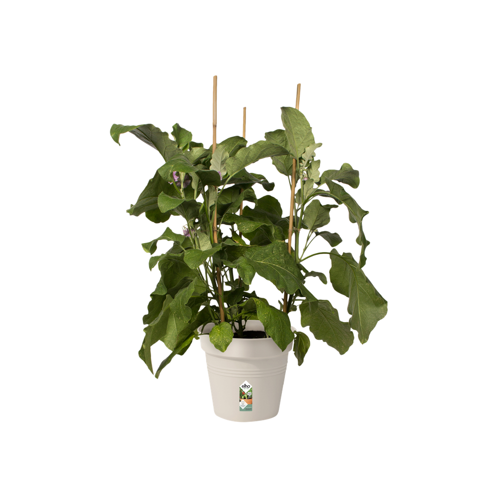 Green Basics Growpot 19
