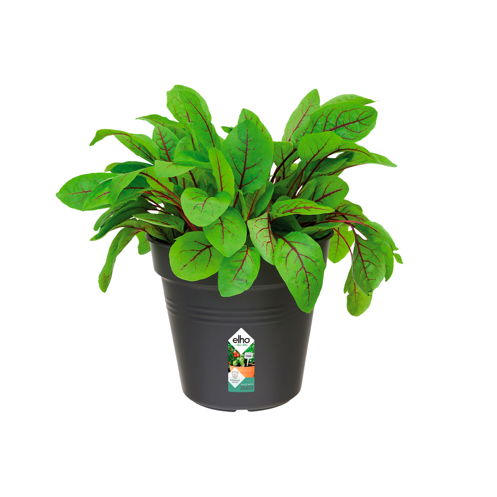 Green Basics Growpot 13