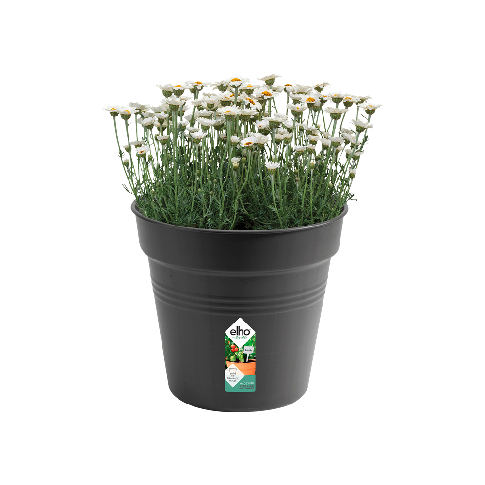 Green Basics Growpot 30