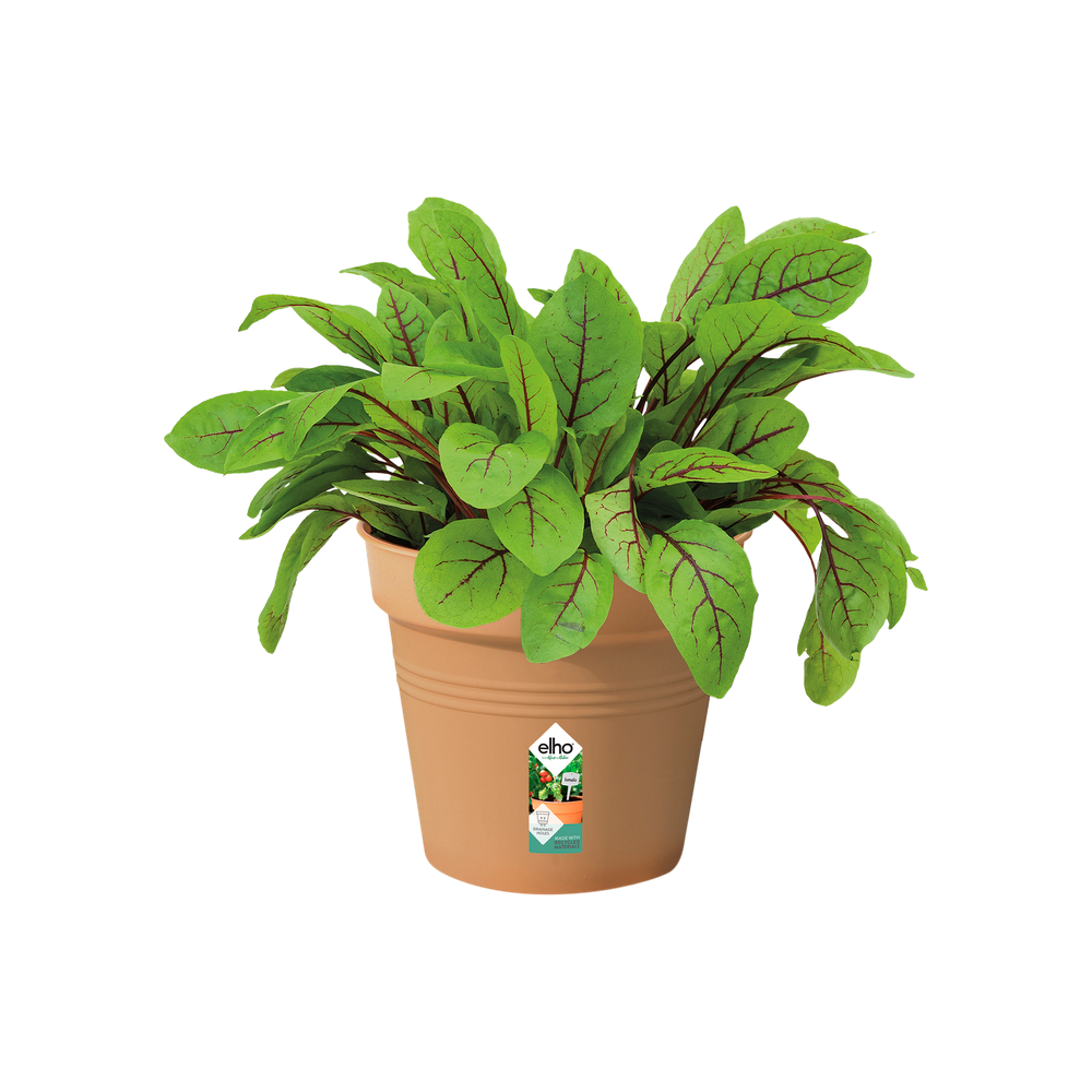 Green Basics Growpot 13