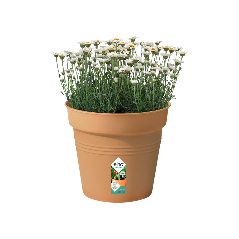 Green Basics Growpot 30