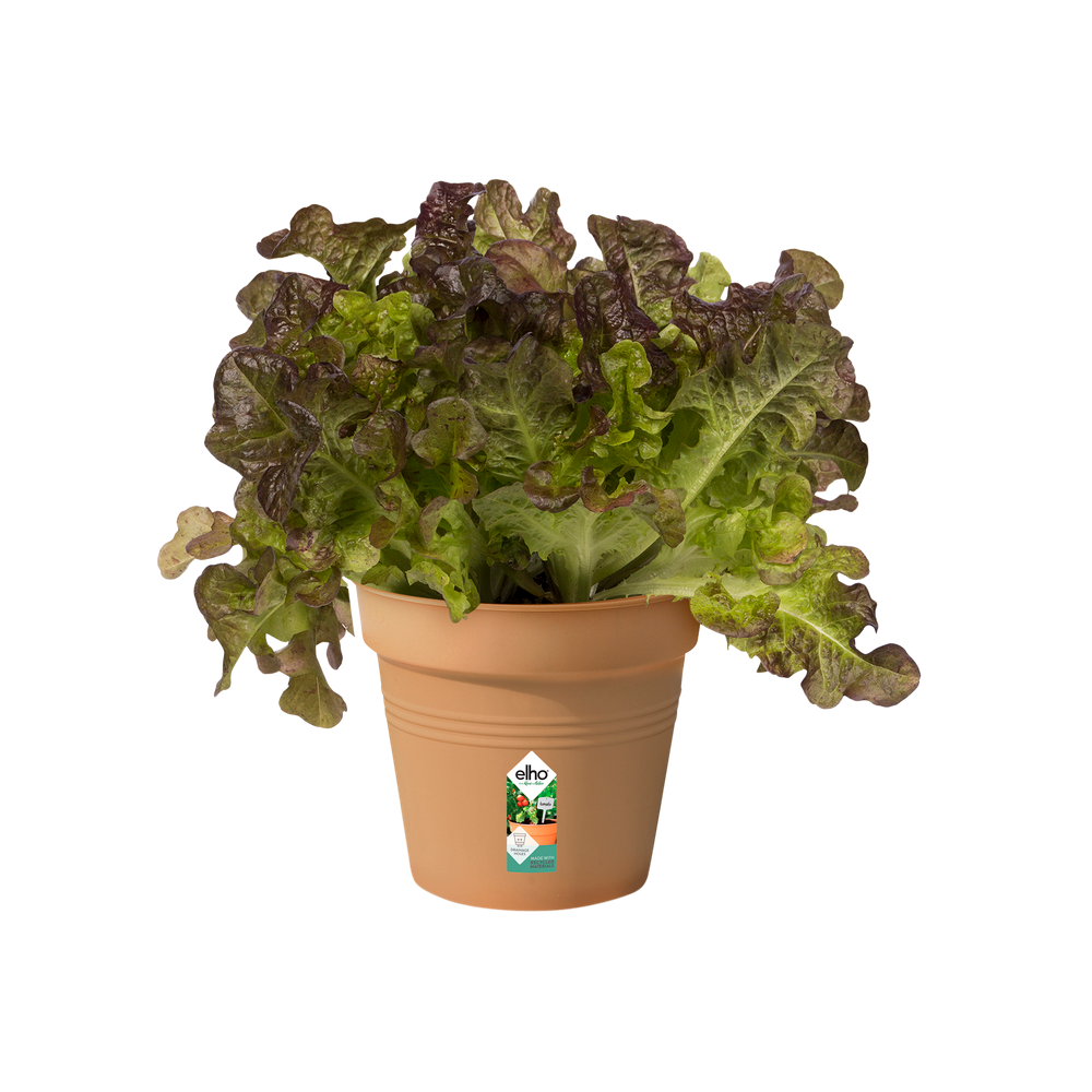 Green Basics Growpot 11