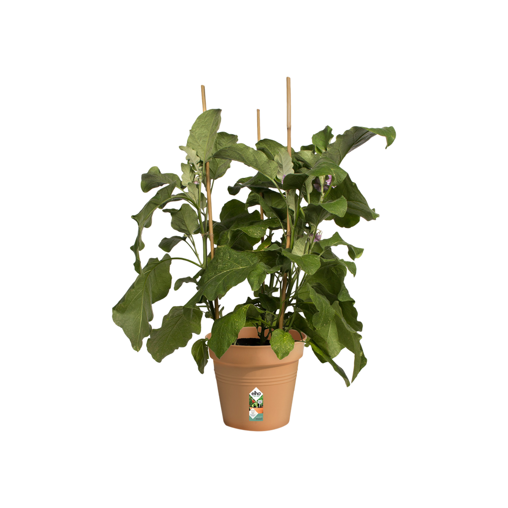 Green Basics Growpot 19