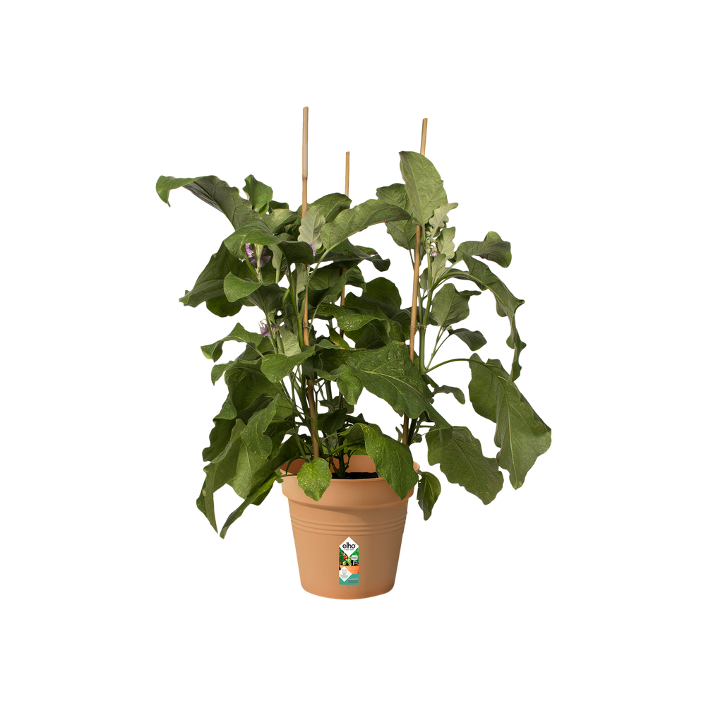 Green Basics Growpot 21
