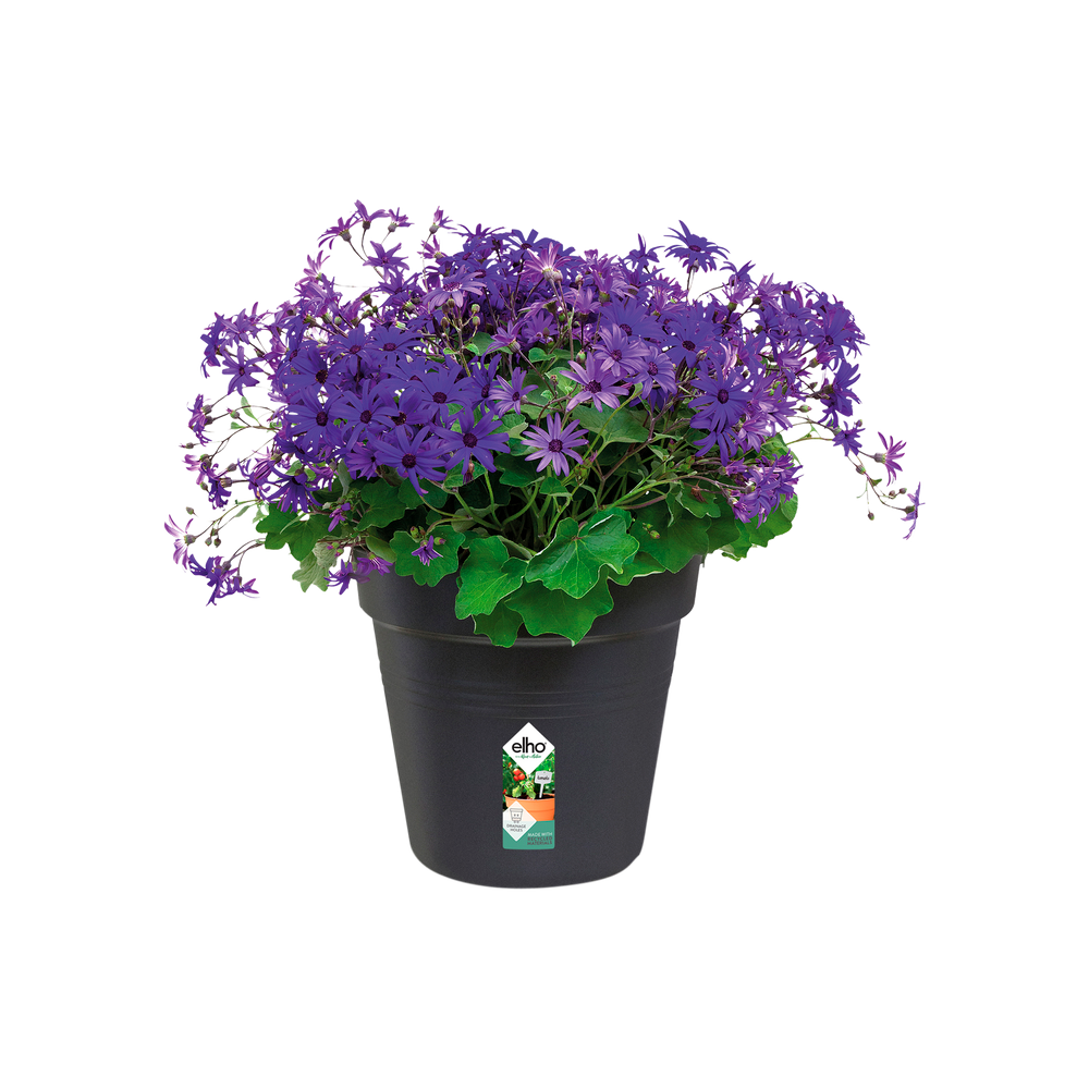 Green Basics Growpot 27