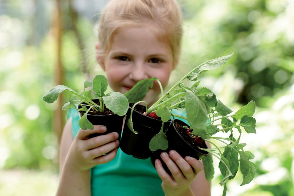 Gb Growpot Starter Set (set Of 10)