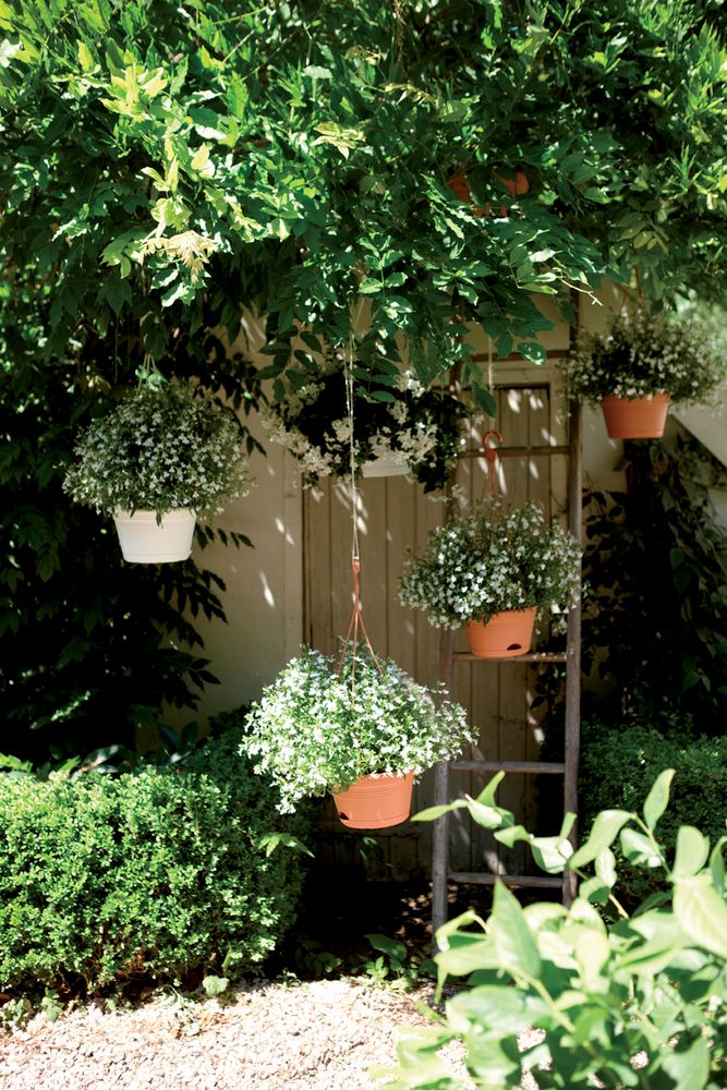 Green Basics Hanging Basket 28