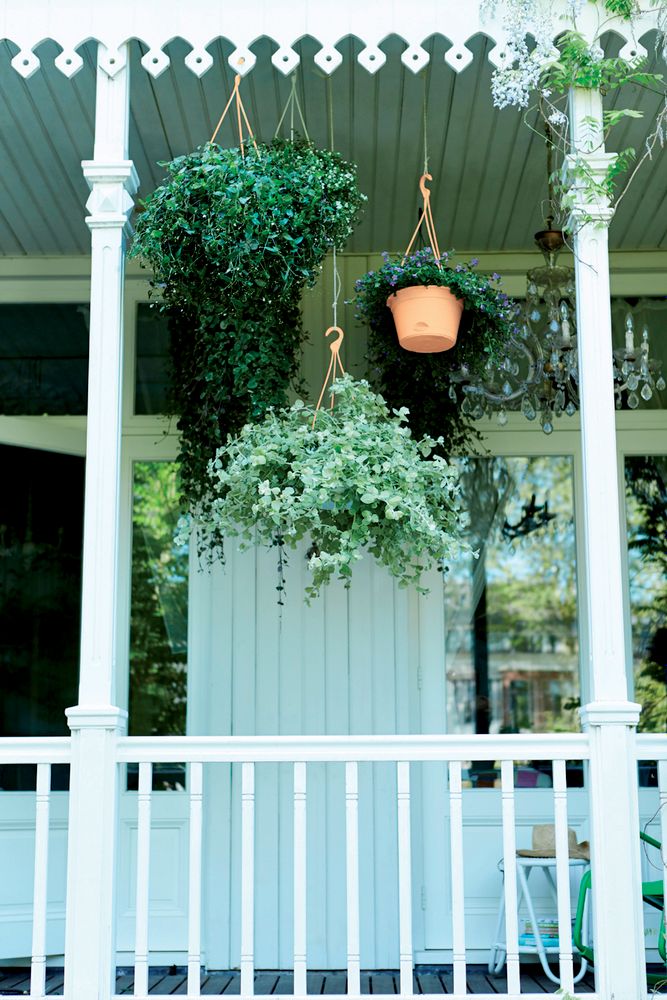 Green Basics Hanging Basket 28