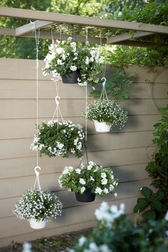 Green Basics Hanging Basket 28