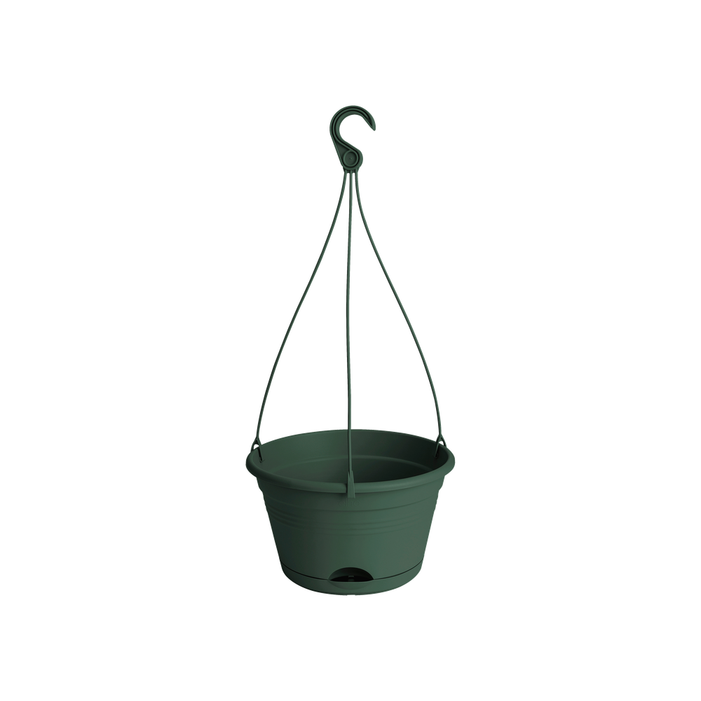 Green Basics Hanging Basket 28